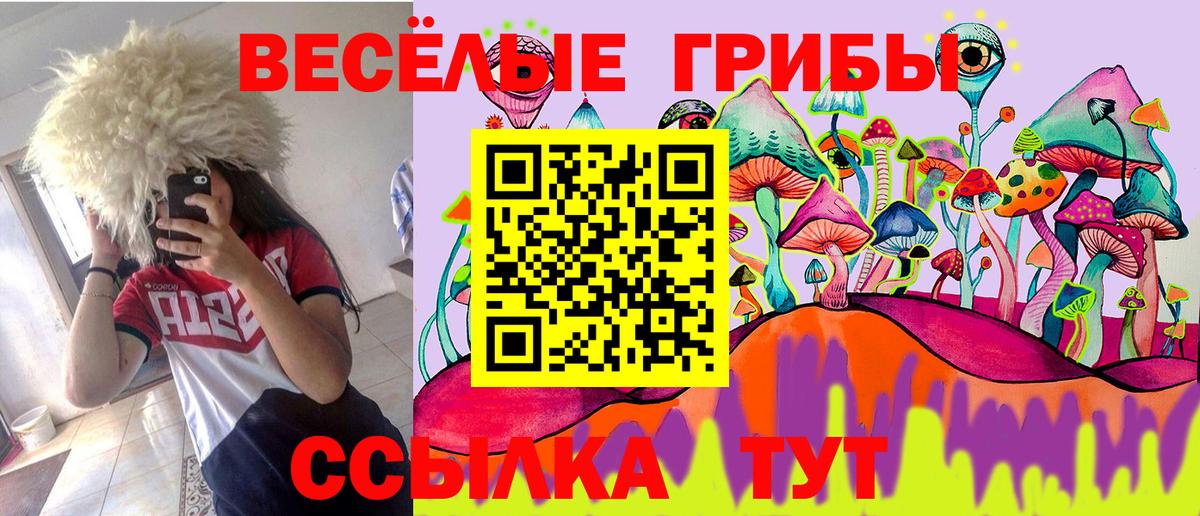 Галлюциногенные грибы Magic Shrooms Железноводск