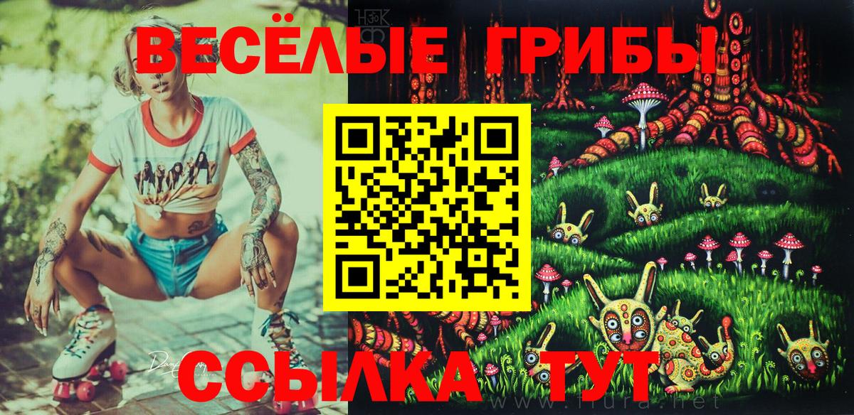 Галлюциногенные грибы ЛСД  Вход с VPN  Железноводск 